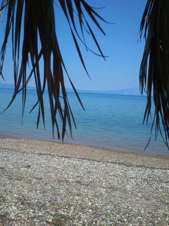 Evoikos Beach & Resort Livanátai エクステリア 写真